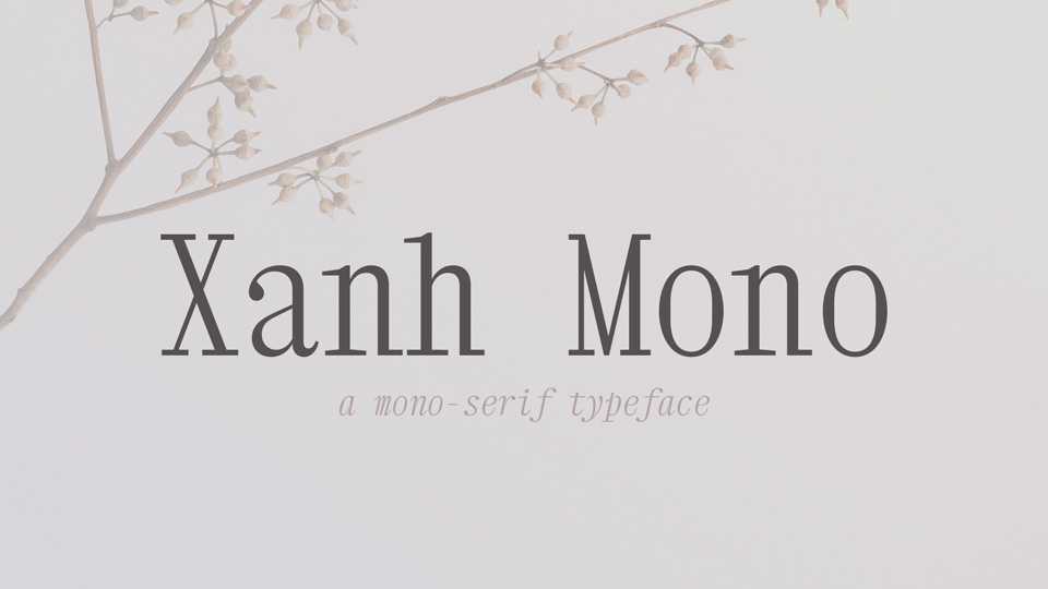 Xahn Mono Font Family › Fontesk