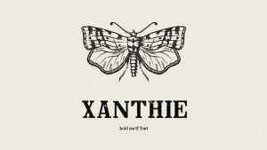 Xanthie Font › Fontesk
