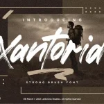 Xantorid Brush Font