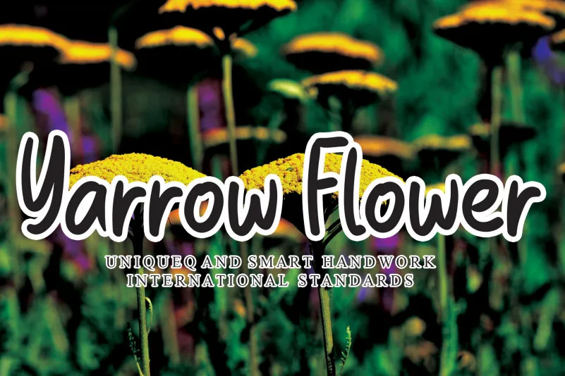 Yarrow Flower Script Font