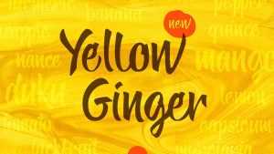 Yellow Ginger Script Font › Fontesk