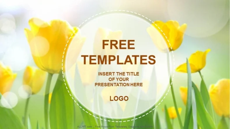 Yellow Tulips Nature PowerPoint Templates
