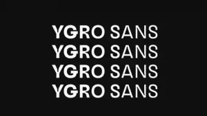 Ygro Sans Serif Font Family