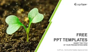 Young plant sprouting PowerPoint Templates