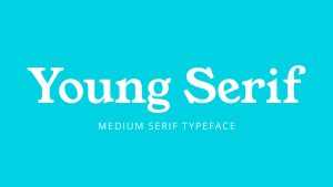 Young Serif Font › Fontesk