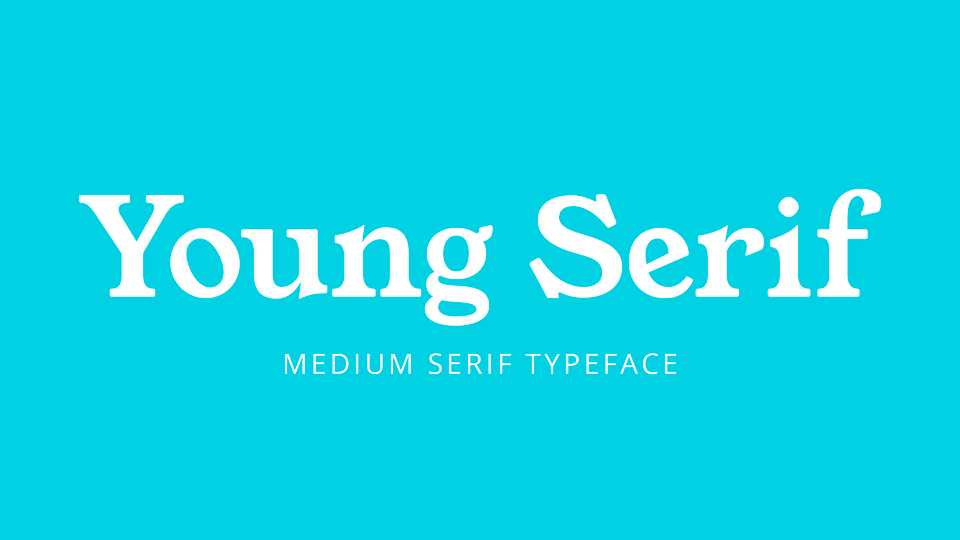 Young Serif Font › Fontesk