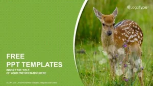 Young sika deer PowerPoint Templates