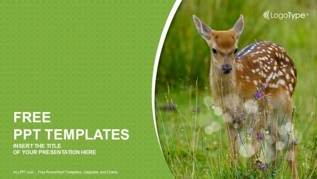 Young sika deer PowerPoint Templates