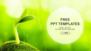 Young sprout in springtime-Nature PowerPoint Templates