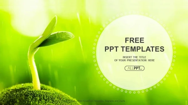 Young sprout in springtime-Nature PowerPoint Templates