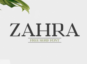 Zahra Serif Font