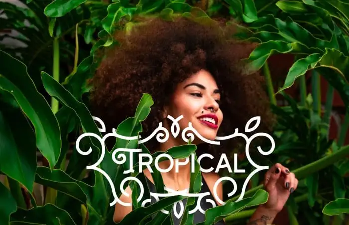 Zilap Nature Sans Serif Font