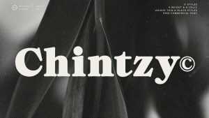 ZT Chintzy Font Family › Fontesk