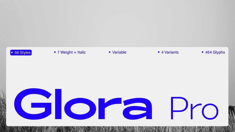 ZT Glora Pro Font Family › Fontesk