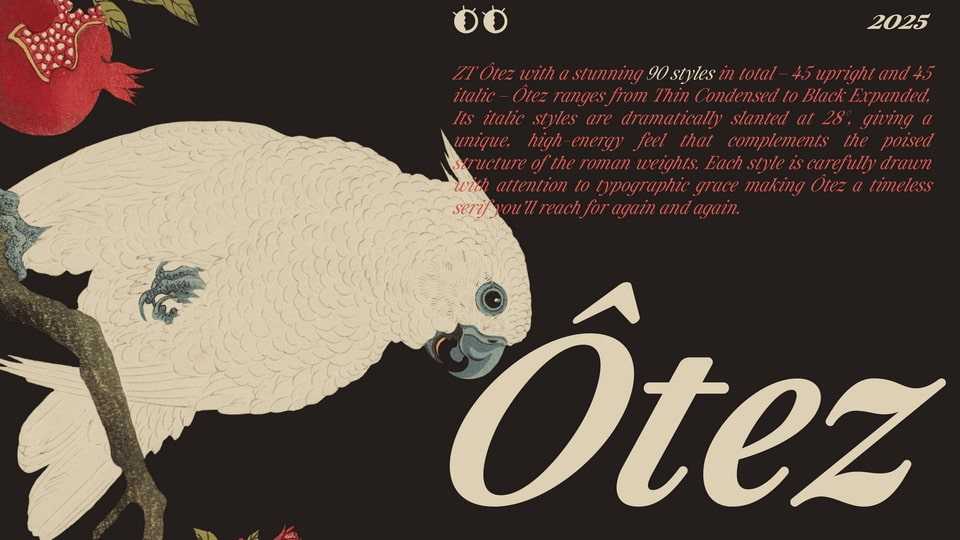 ZT Otez Serif Font › Fontesk