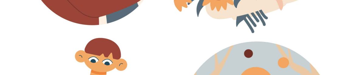 4 Farm Illustrations