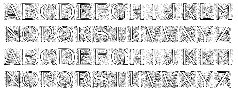Acorn Initials