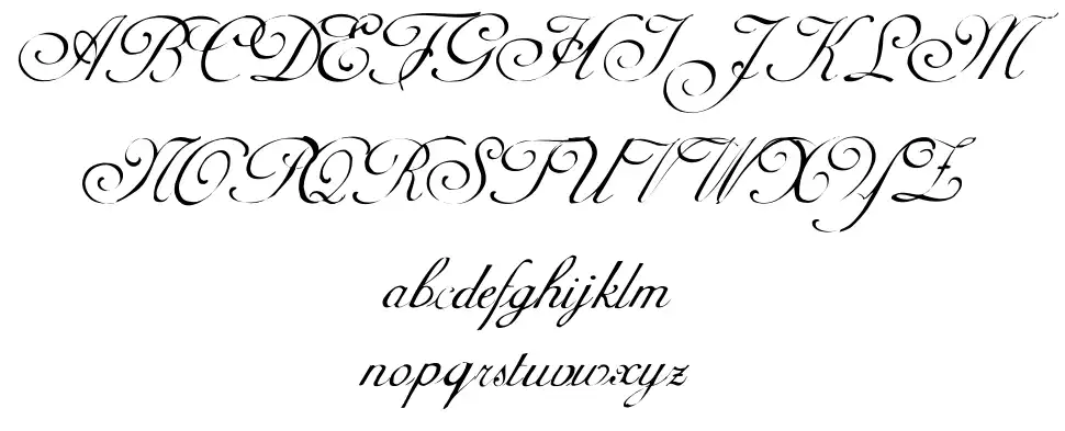 Adine Kirnberg Script
