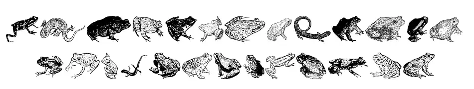 AmphibiPrint