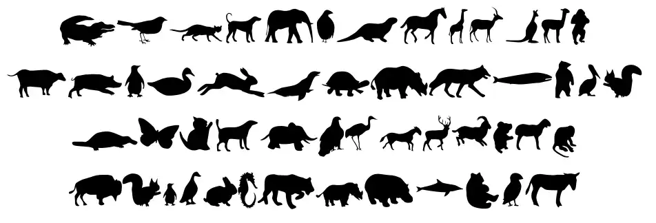 Animals