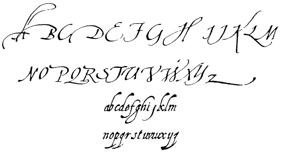 Aquiline