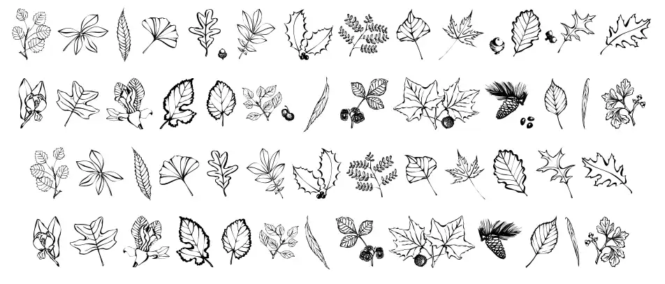 Arboris Folium