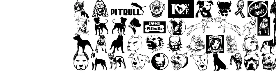 Beware of Pitbull