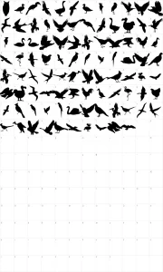 Mapa de caracteres da fonte Birds of a Feather
