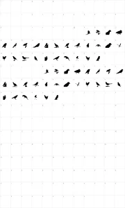 Mapa de caracteres da fonte Birds TFB