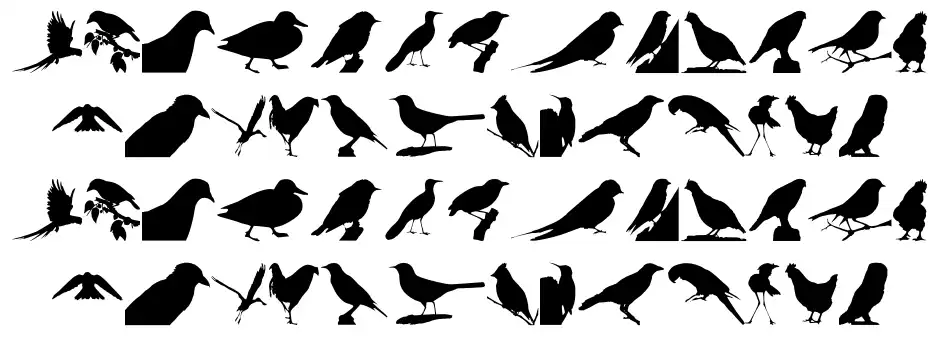 Birds TFB