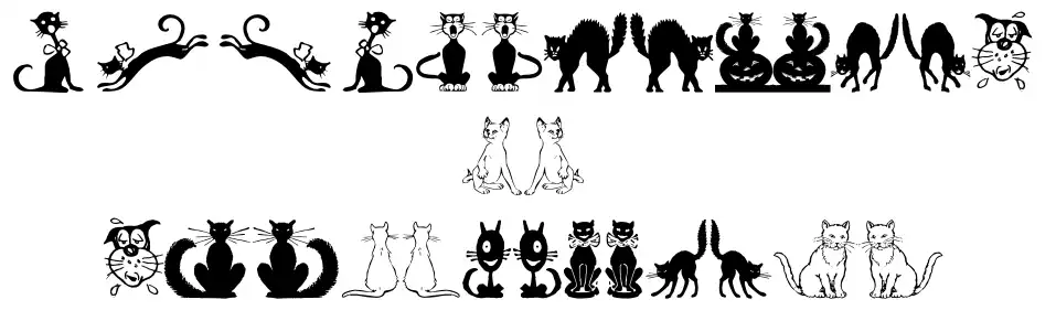 Border Cats