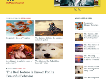 Brand Mag UX