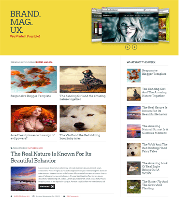 Brand Mag UX