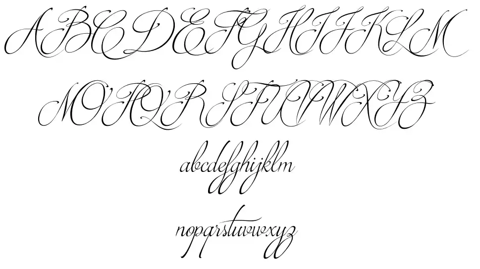 Brotherhood Script