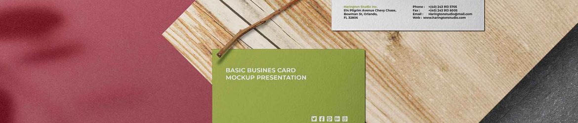 Business Cards Set of Mockups (PSD)