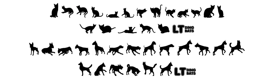 Cats vs Dogs LT