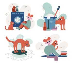 Cleaning Illustrations