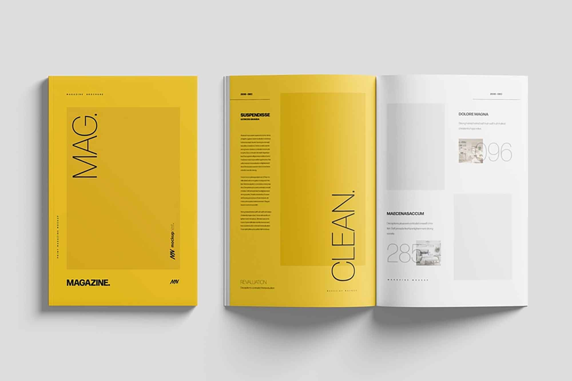 Cover and Inside Magazine Mockup