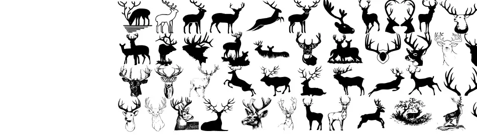 Deers