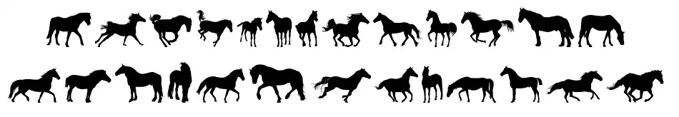 DJ Horses 1