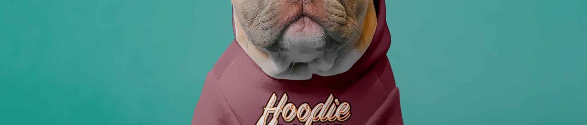 Dog Hoodie Mockup