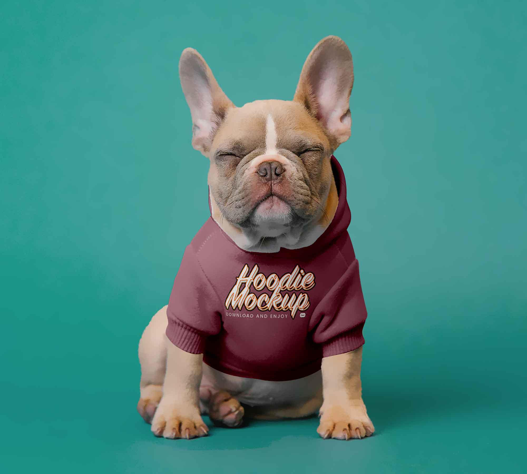 Dog Hoodie Mockup