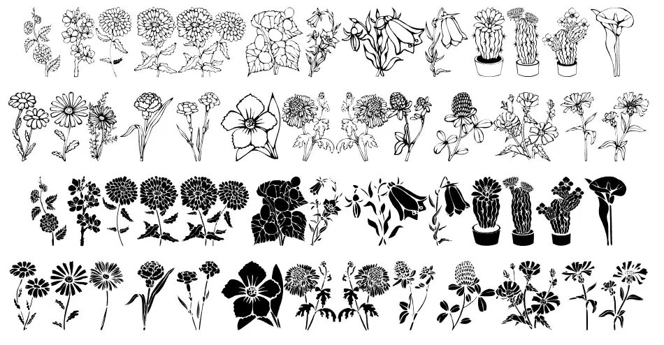 DT Flowers