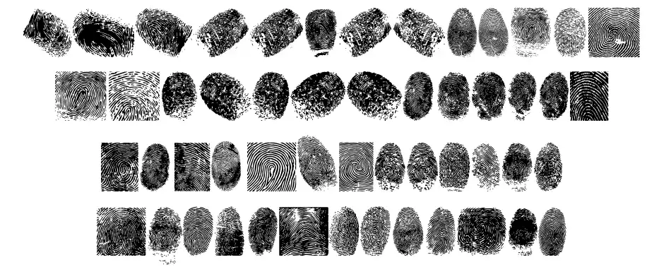 Finger Print tfb