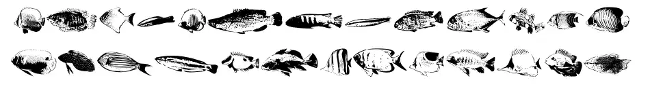 FishyPrint AOE