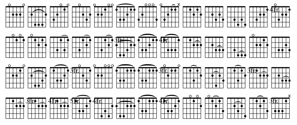 Frets