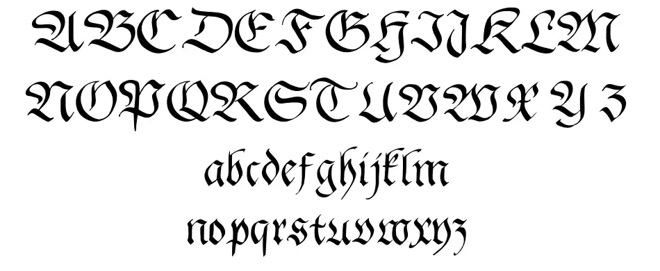 Gingko Fraktur