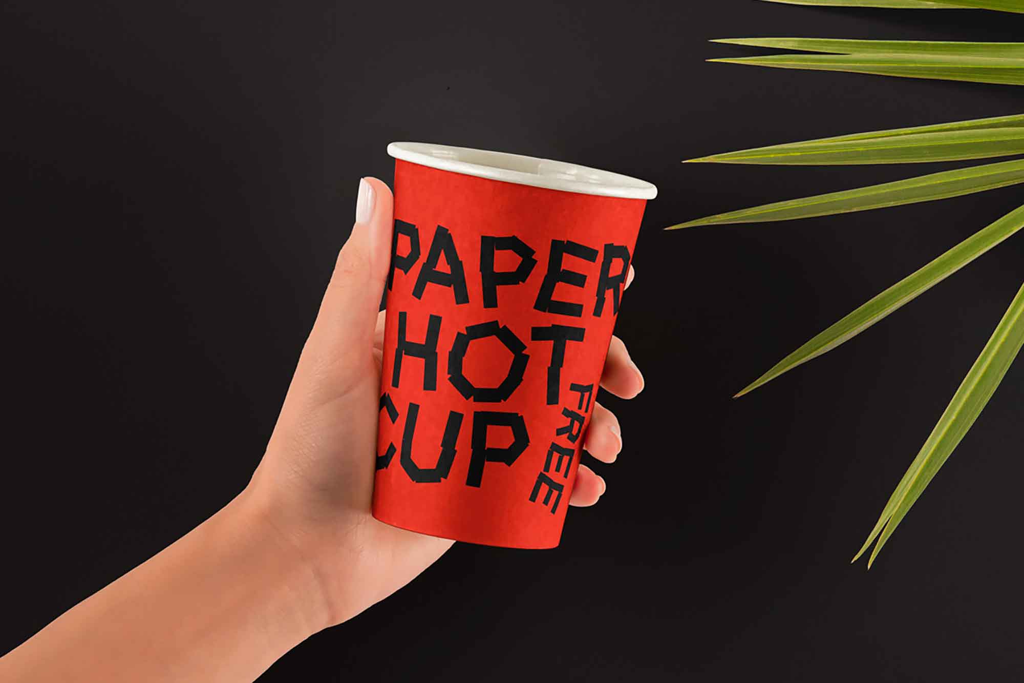 Hands Holding Paper Cup Mockup