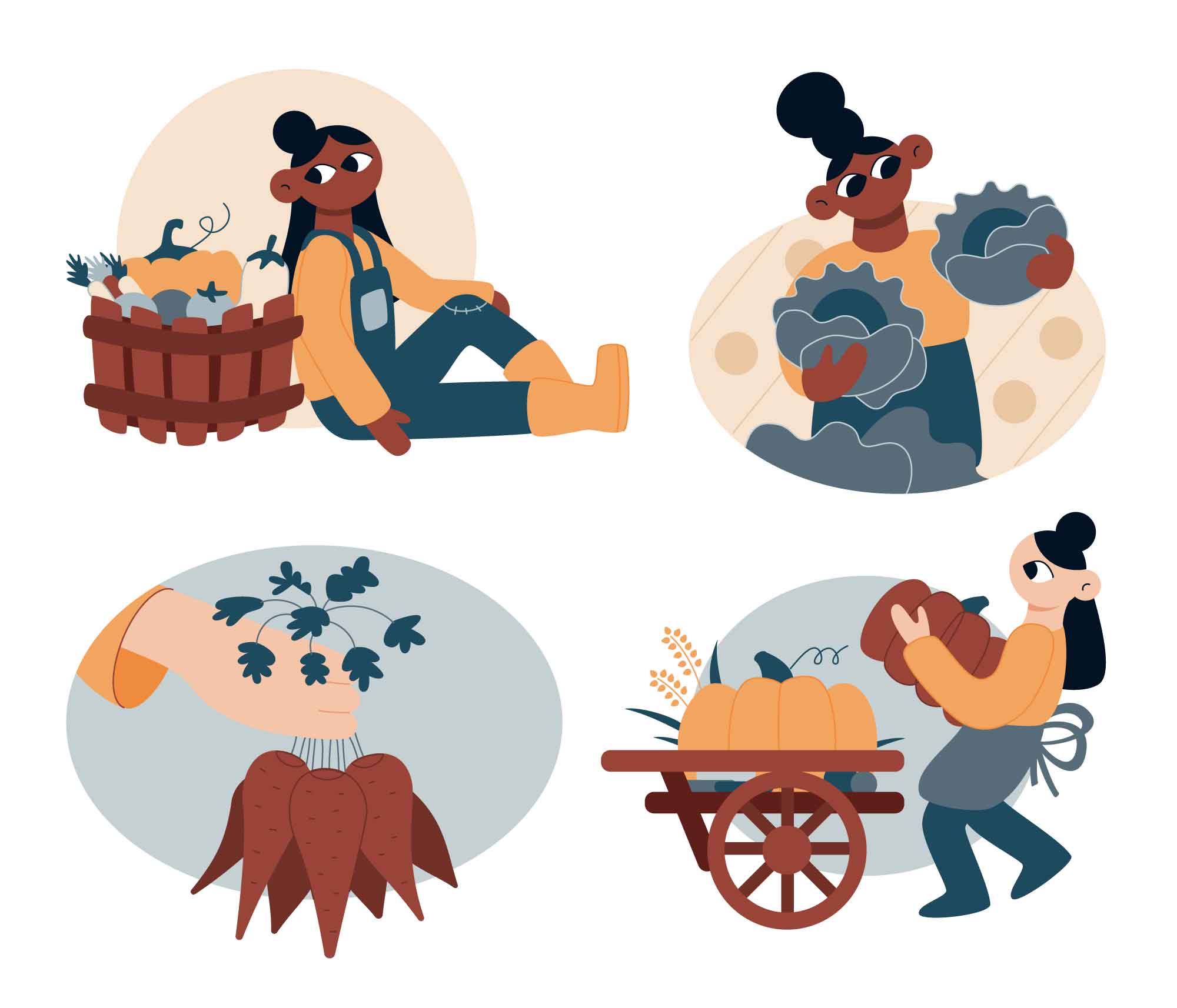 Harvest Illustrations