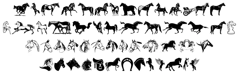 Horse